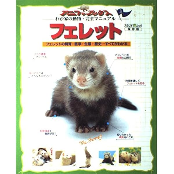フェレットの臨床 エキゾチック臨床シリーズ Vol.2 フェレットの診療 診療法の基礎